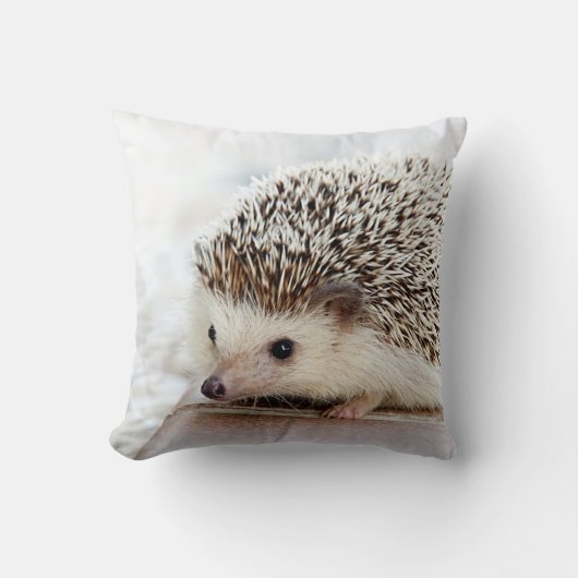 Cute Baby Hedegel Kussen (Voorkant)