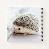 Cute Baby Hedegel Notitieboek (Achterkant)