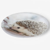 Cute Baby Hedegel Papieren Bordje (Gekanteld)