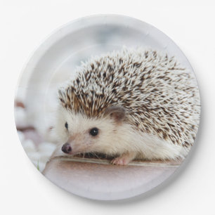 Cute Baby Hedegel Papieren Bordje