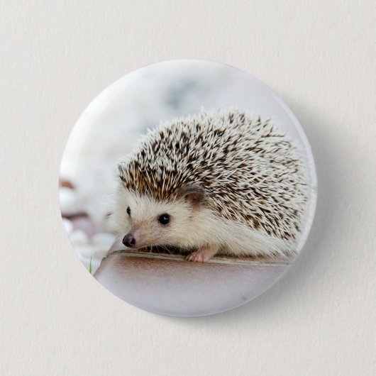 Cute Baby Hedegel Ronde Button 5,7 Cm (Voorkant)