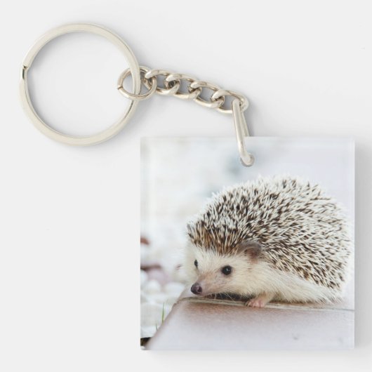 Cute Baby Hedegel Sleutelhanger (Voorkant)