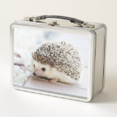 Cute Baby Hedgehog Photo (Voorkant)