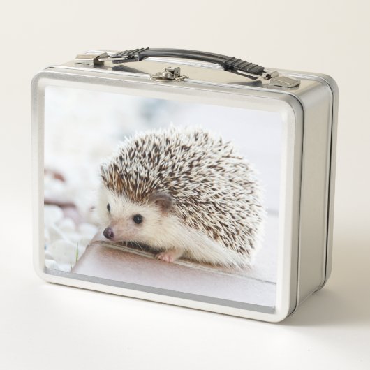 Cute Baby Hedgehog Photo (Voorkant)