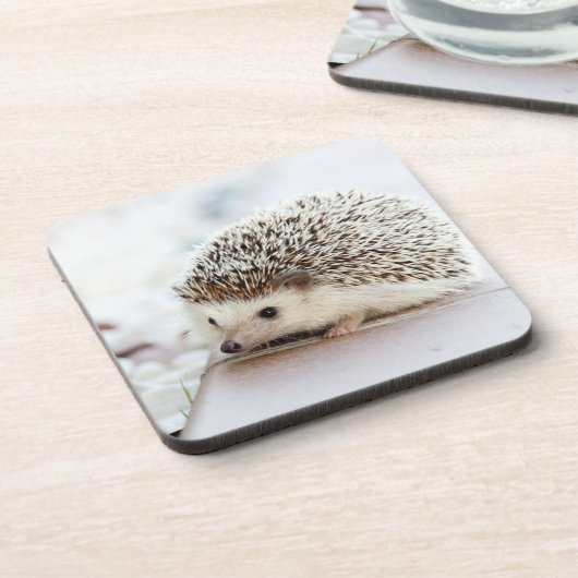Cute Baby Hedgehog Photo Bier Onderzetter (Linkerzijde)