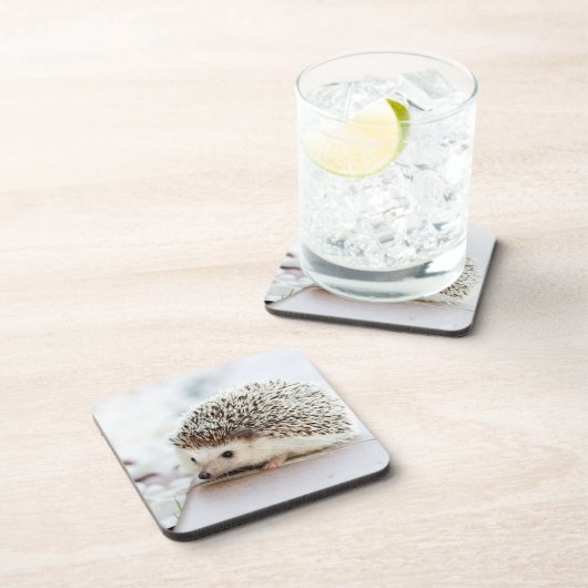 Cute Baby Hedgehog Photo Bier Onderzetter (Rechterzijde)