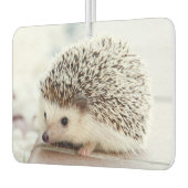 Cute Baby Hedgehog Photo Luchtverfrisser (Links)