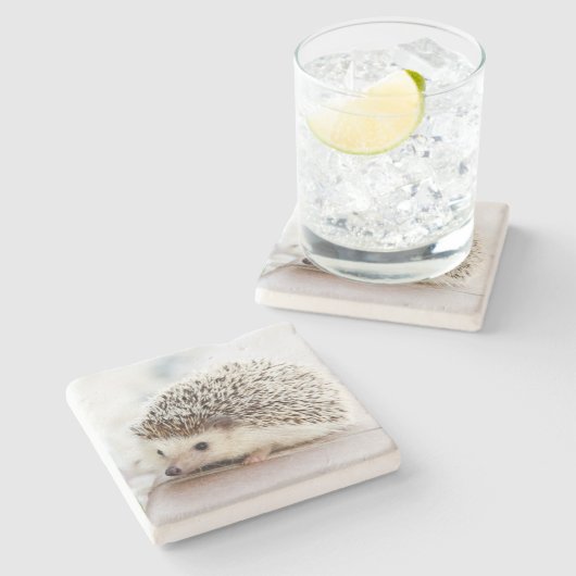 Cute Baby Hedgehog Photo Stenen Onderzetter (Zijkant)