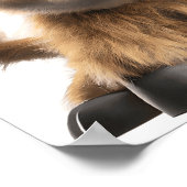 Cute baby hooglandrund posterprint poster (Hoek)