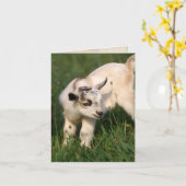 Cute Baby Kaart (Gele Bloem)