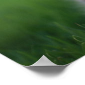 Cute Baby Kittens die buiten in de gras spelen Poster (Hoek)