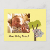 Cute Baby Koala Beer en Mammie Foto Briefkaart (Voorkant)