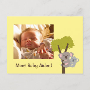Cute Baby Koala Beer en Moeder Foto Briefkaart