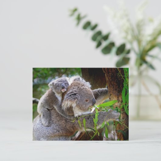 Cute baby koala beer met moeder in een boom briefkaart (Staand voorkant)