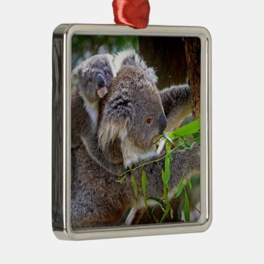 Cute baby koala beer met moeder in een boom metalen ornament (Rechts)