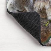 Cute baby koala beer met moeder in een boom muismat (Hoek)