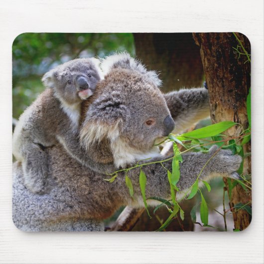 Cute baby koala beer met moeder in een boom muismat (Voorkant)