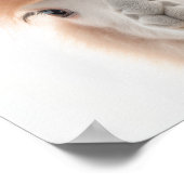 Cute Baby Lama Portret (Alpaca) |  1:1 Poster (Hoek)