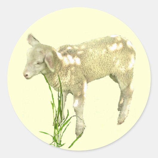 Cute Baby Lamb op gele Stickers (Voorkant)