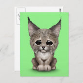 Cute Baby Lynx Cub op Green Briefkaart (Voorkant / Achterkant)