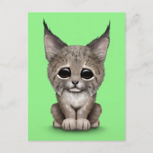 Cute Baby Lynx Cub op Green Briefkaart