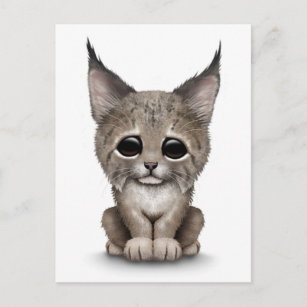 Cute Baby Lynx Cub op White Briefkaart