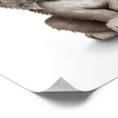 Cute Baby Lynx Cub op White Poster (Hoek)