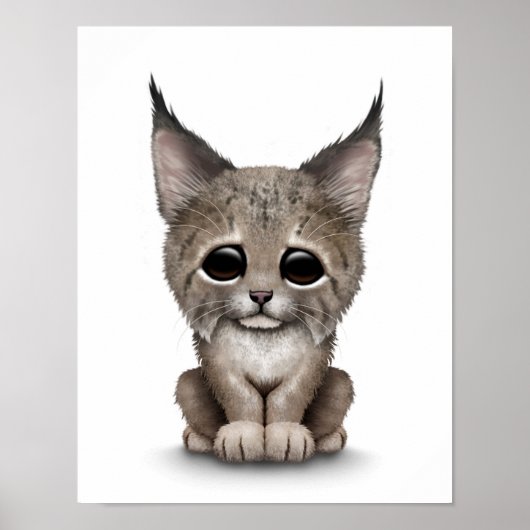 Cute Baby Lynx Cub op White Poster (Voorkant)