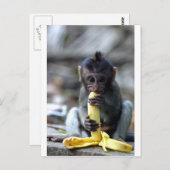 Cute baby macaque aap banana briefkaart (Voorkant / Achterkant)