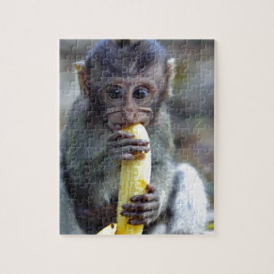 Cute baby macaque aap banana legpuzzel