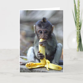 Cute baby macaque aap van banaan kaart