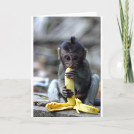 Cute baby macaque monkey eating banana kaart