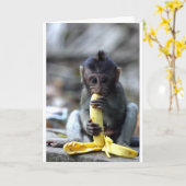 Cute baby macaque monkey eating banana kaart (Gele Bloem)