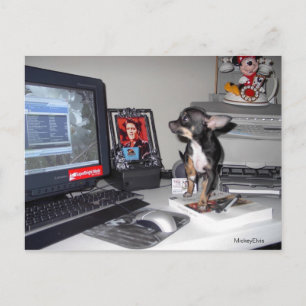 Cute Baby MickeyElvis 1 Briefkaart