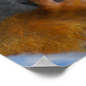 Cute Baby Monkey gered Poster (Hoek)