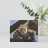 Cute Baby Monkey in Mam's Arms Foto van Borneo Briefkaart (Staand voorkant)