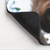 Cute Baby: Oerwoud Wilde Dieren Muismat (Hoek)