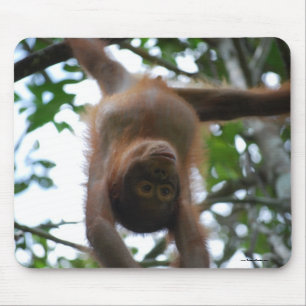 Cute Baby: Oerwoud Wilde Dieren Muismat