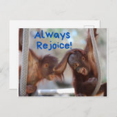 Cute Baby Orangutan Altijd blij Briefkaart (Voorkant / Achterkant)
