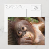 Cute Baby Orangutan Dreams of Mam Briefkaart (Voorkant / Achterkant)
