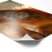 Cute Baby Orangutan Foto Afdruk (Hoek)