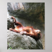 Cute Baby Orangutan Home Decor Poster (Voorkant)