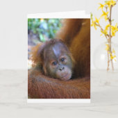 Cute baby Orangutan Kaart (Gele Bloem)
