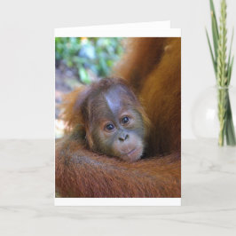 Cute baby Orangutan Kaart