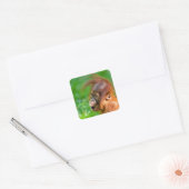 Cute baby orangutan kijkt in verwondering vierkante sticker (Envelop)