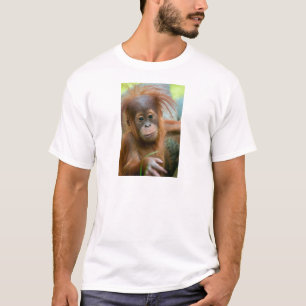 Cute Baby Orangutan kijkt recht vooruit T-shirt