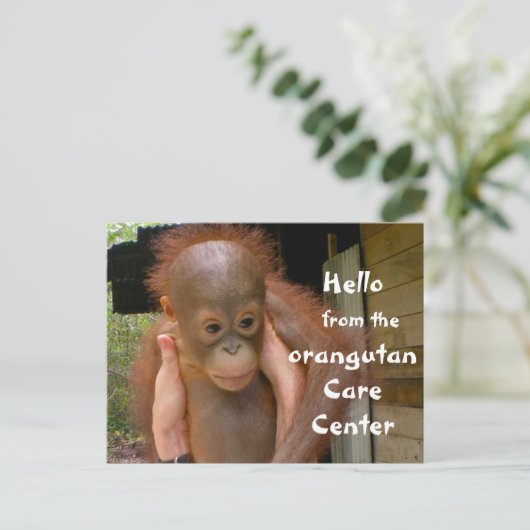 Cute Baby Orangutan Orphan Briefkaart (Staand voorkant)