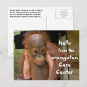 Cute Baby Orangutan Orphan Briefkaart (Voorkant / Achterkant)
