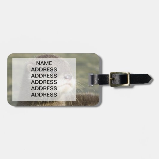 Cute Baby Otter Bagagelabel (Voorkant horizontaal)