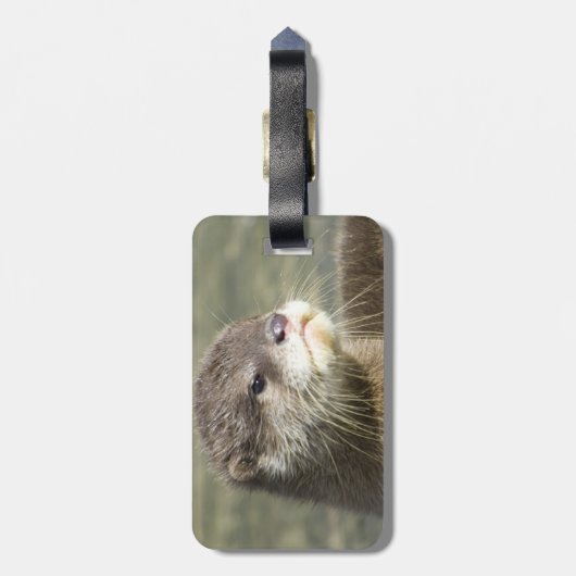 Cute Baby Otter Bagagelabel (Achterkant verticaal)